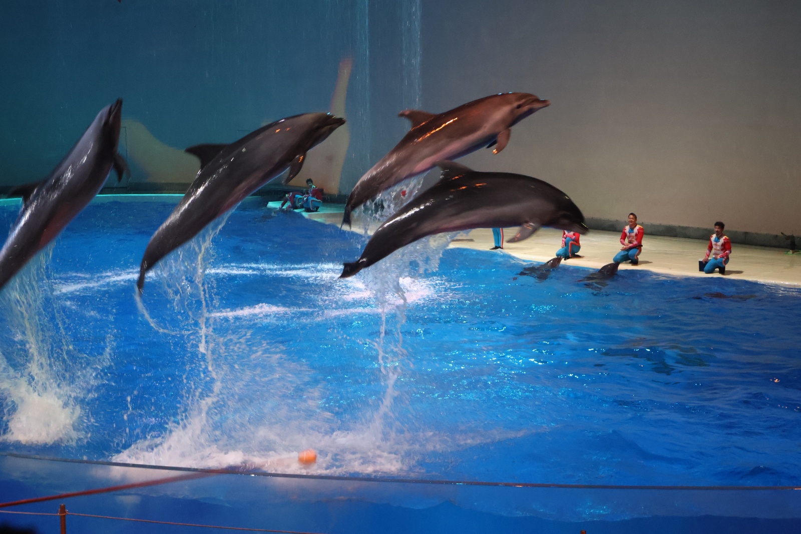 微信图片_20251103090707_286_16.jpg 微信图片_20251103090707_286_16.jpg